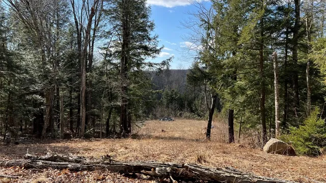 $100,000 | 1153 Faulkner Road, Whitingham, VT 05361