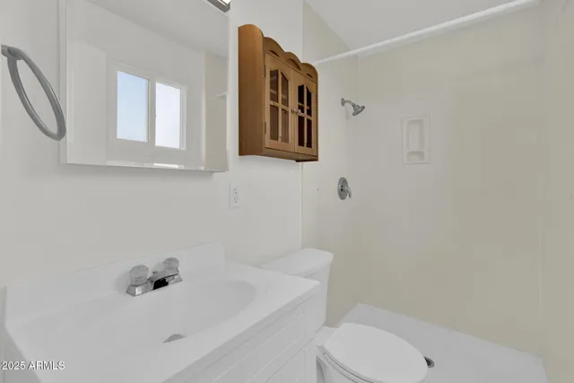 a bathroom with a sink toilet and mirror