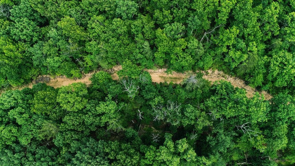 Tbd Calf Mountain Road Waynesboro, VA 22980 - Photo 15 of 36