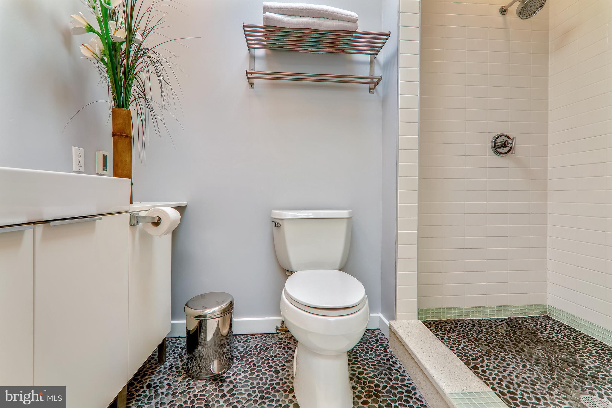 438 Ridge Street Northwest Washington, DC 20001 - Photo 17 of 18 Main Bathroom upstairs with two person shower!