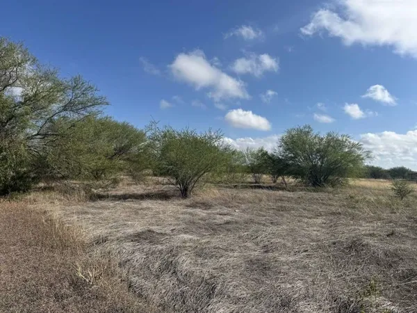 a view of a dry yard with trees