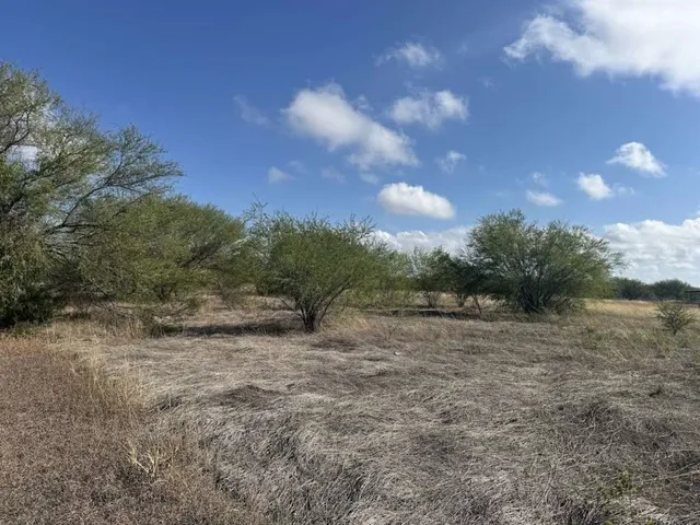 a view of a dry yard with trees
