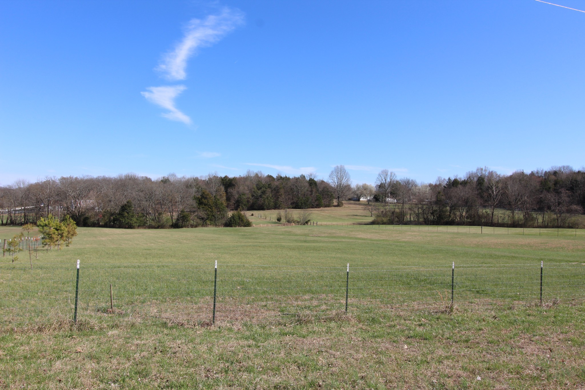20 Turner Road Watertown, TN 37184 - Photo 3 of 9 Gallery Image 3