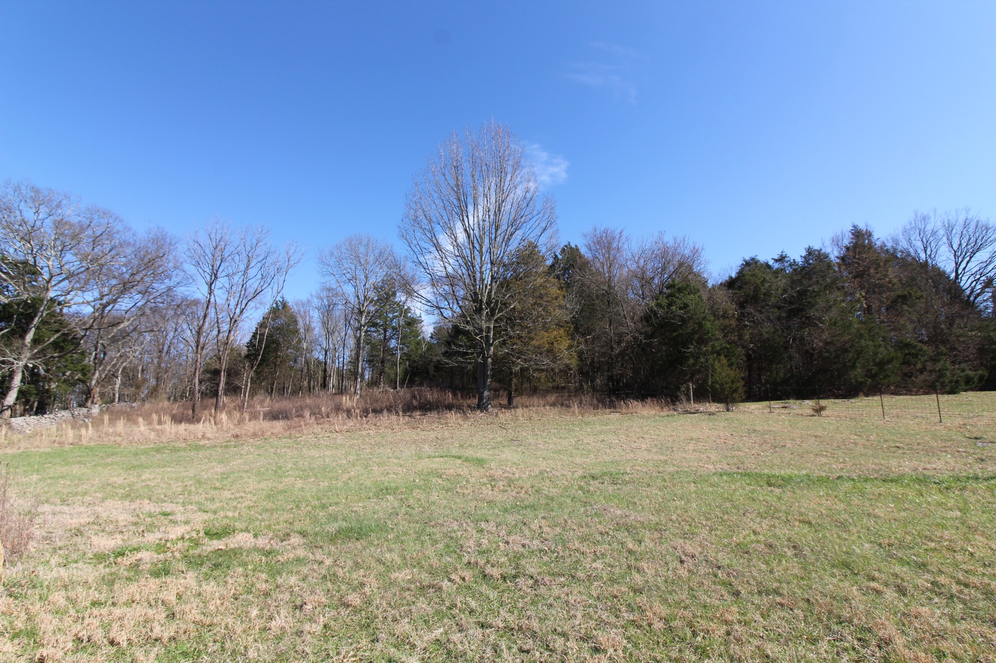 20 Turner Road Watertown, TN 37184 - Photo 4 of 9 Gallery Image 4