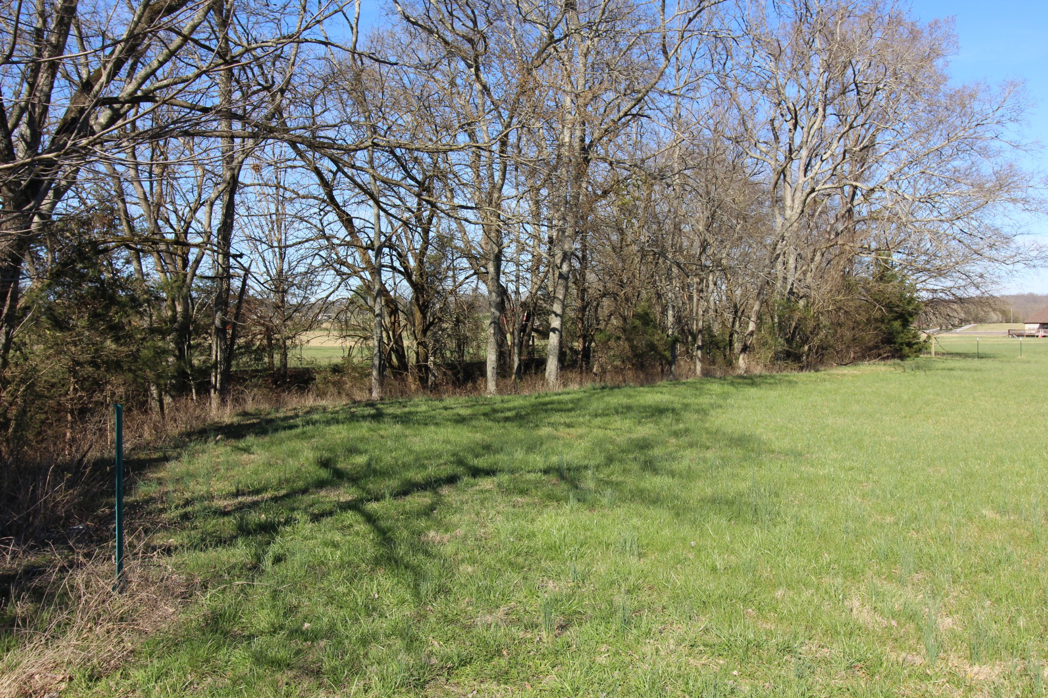 20 Turner Road Watertown, TN 37184 - Photo 7 of 9 Gallery Image 7