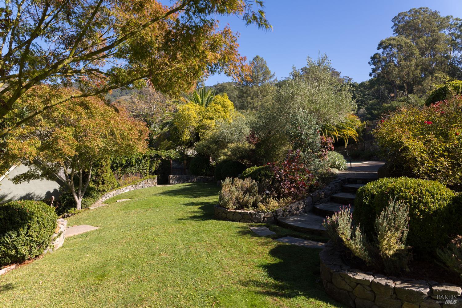 178 Palm Avenue San Rafael, CA 94901 - Photo 33 of 43