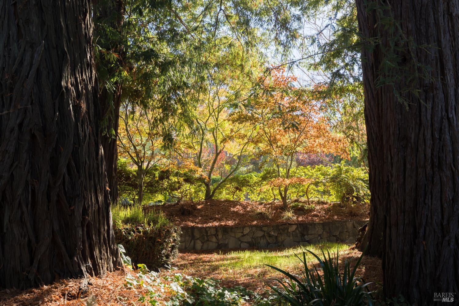 178 Palm Avenue San Rafael, CA 94901 - Photo 35 of 43