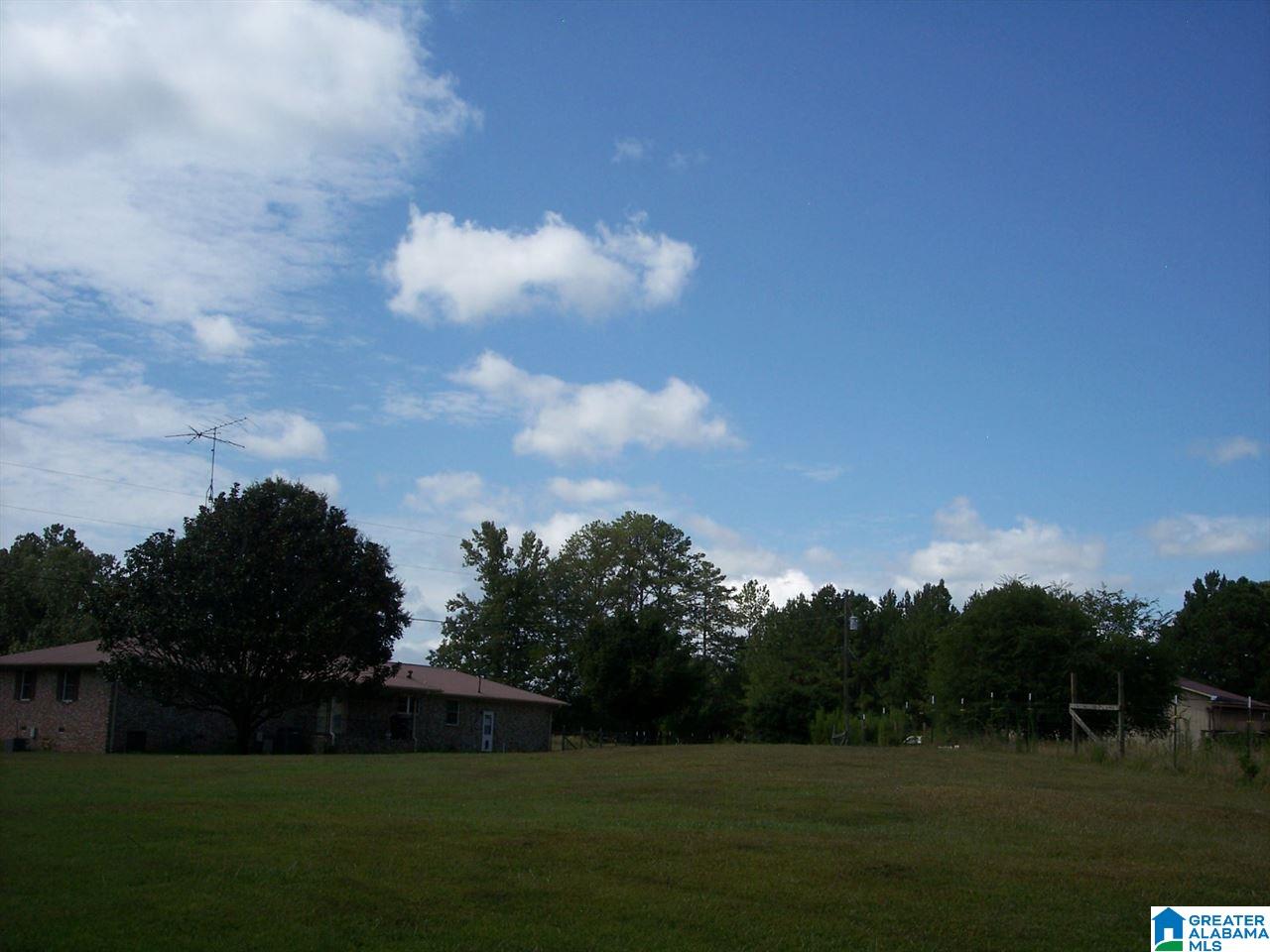 1561 Ross Lake Road Wellington, AL 36279 - Photo 45 of 50