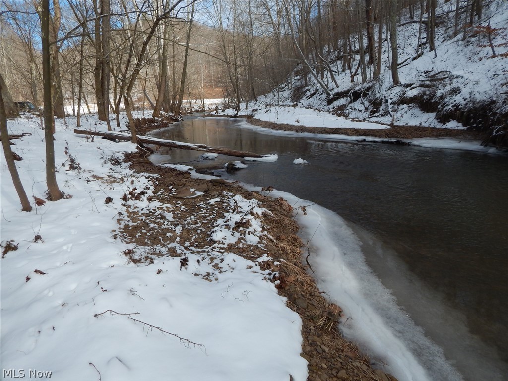 0 Hazelgreen Road Smithville, WV 26178 - Photo 12 of 23