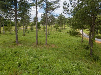 0 Ward Road Loudon, TN 37774 - Photo 20 of 30 a view of a green field with lots of bushes