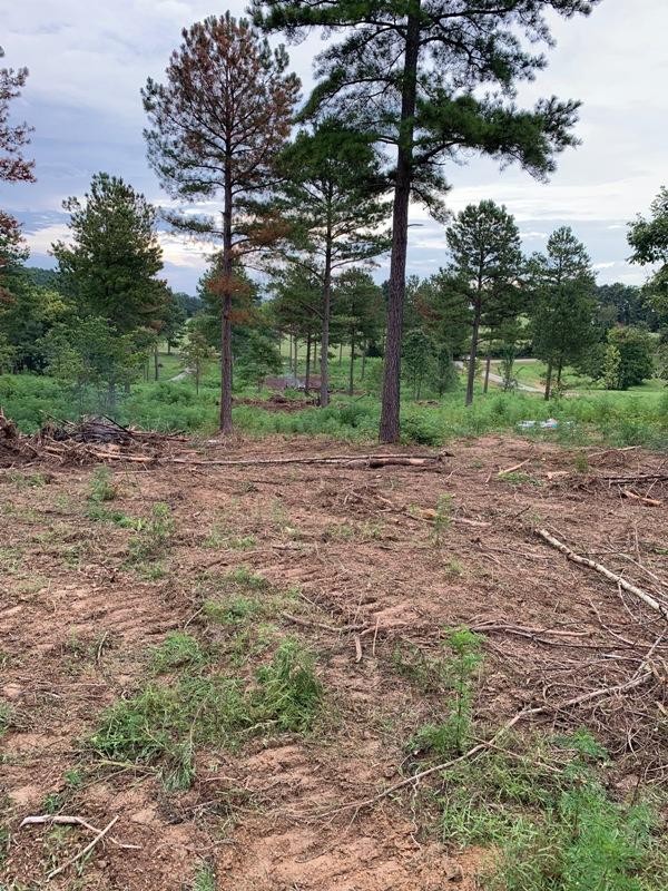0 Ward Road Loudon, TN 37774 - Photo 29 of 30 a view of a yard with green space