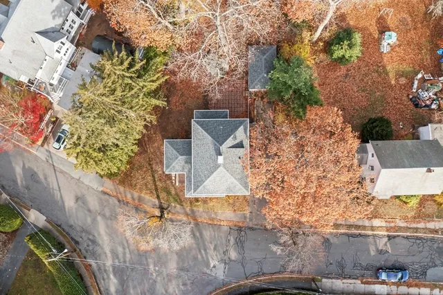 a close up of a tree