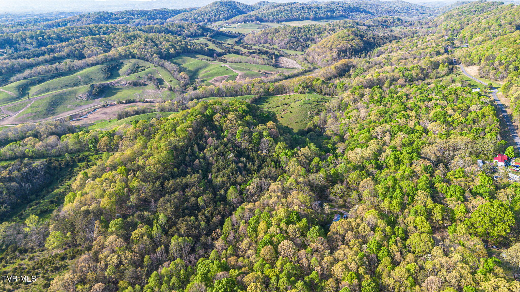 5.23-ac Dog Walk Road, Unit 5 Greeneville, TN 37745 - Photo 12 of 17 6-web-or-mls-DJI_0992