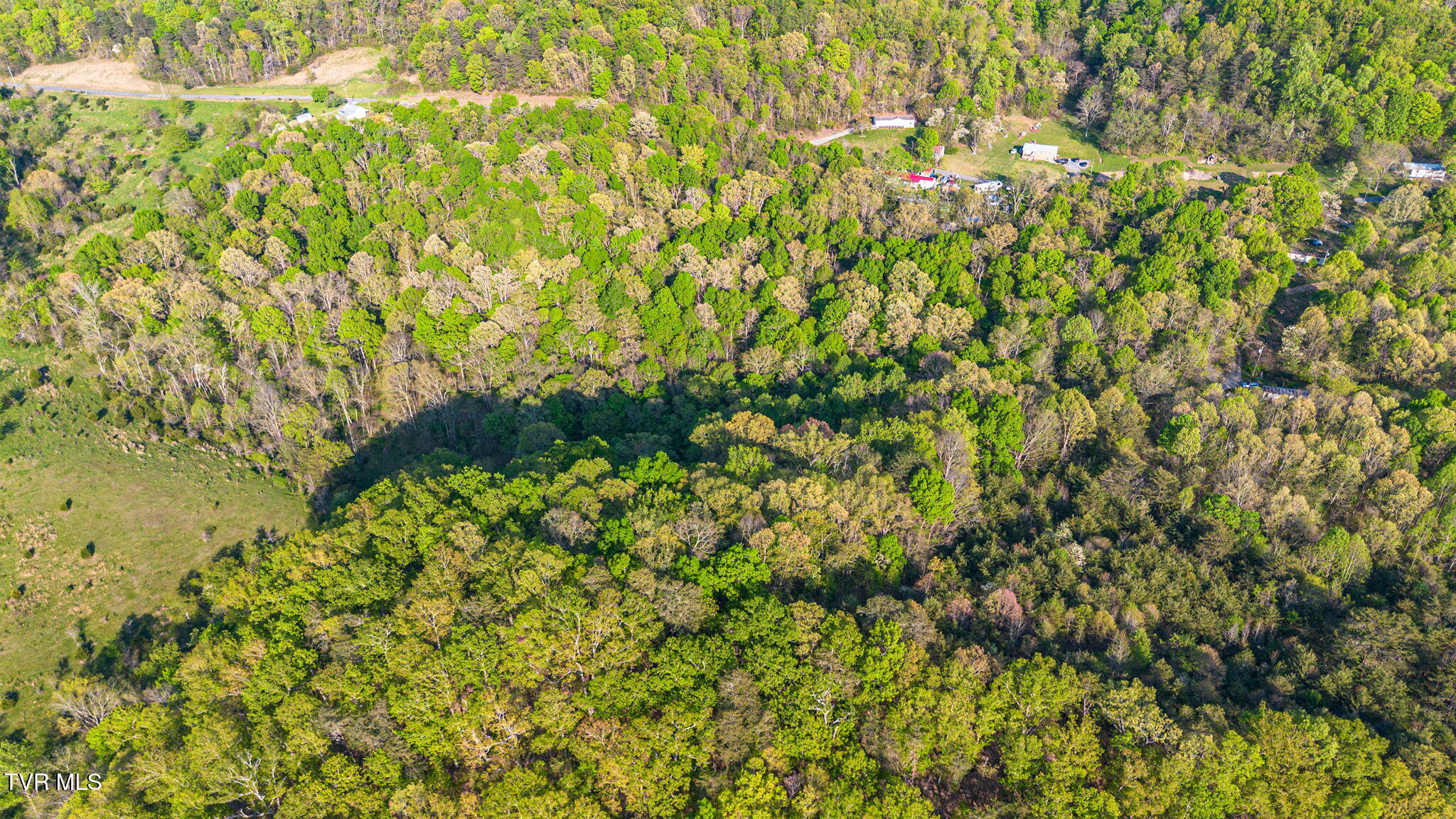 5.23-ac Dog Walk Road, Unit 5 Greeneville, TN 37745 - Photo 15 of 17 4-web-or-mls-DJI_0986