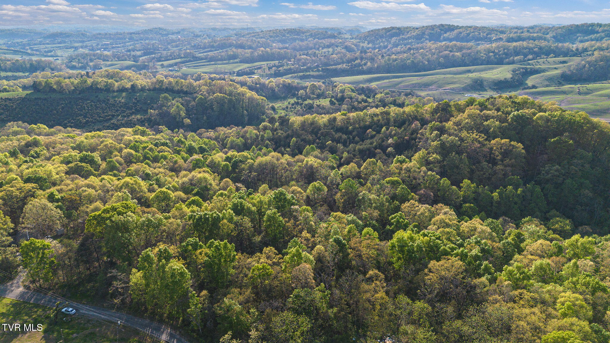 5.23-ac Dog Walk Road, Unit 5 Greeneville, TN 37745 - Photo 16 of 17 2-web-or-mls-DJI_0980