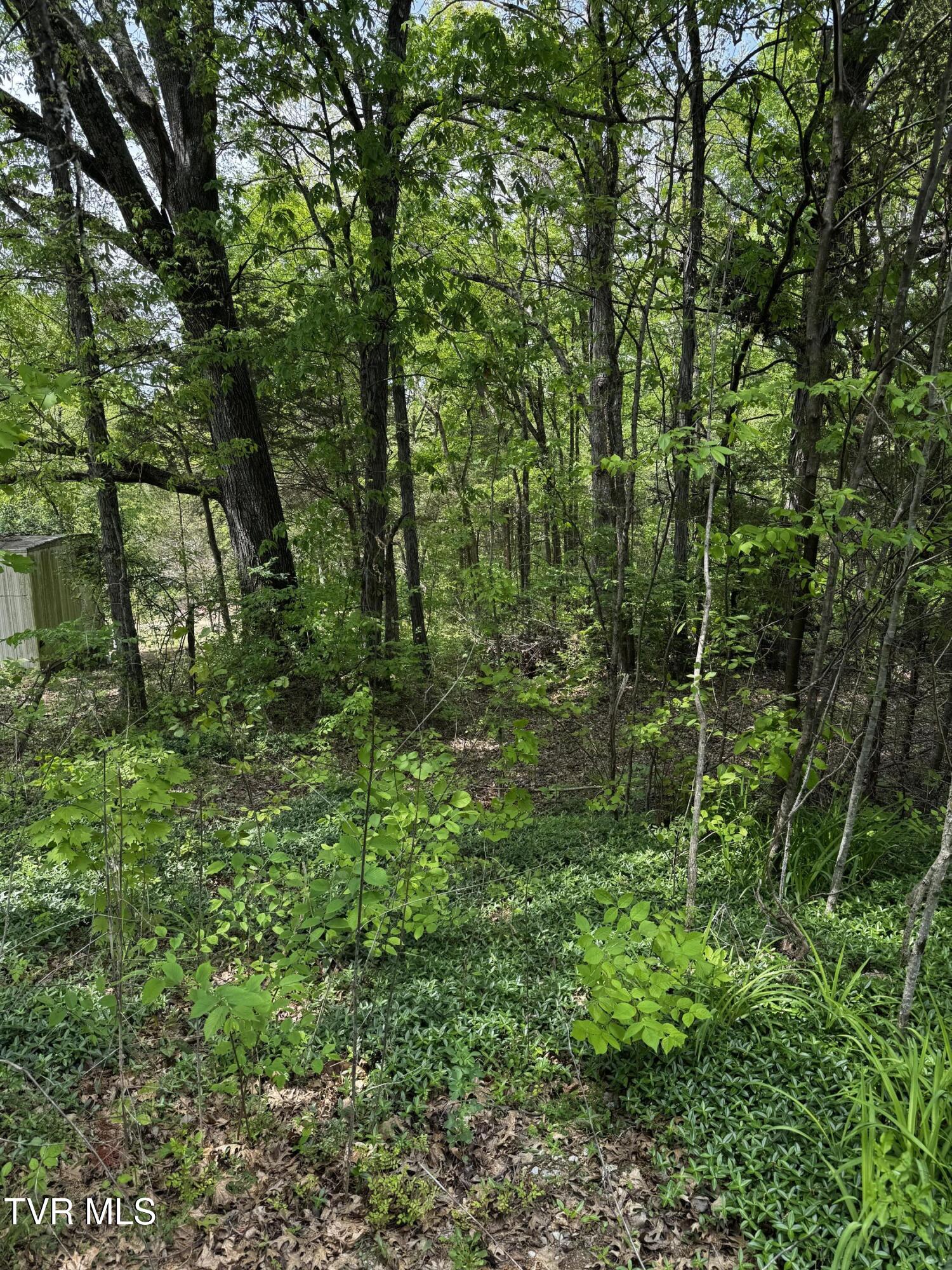 5.23-ac Dog Walk Road, Unit 5 Greeneville, TN 37745 - Photo 8 of 17 IMG_2303