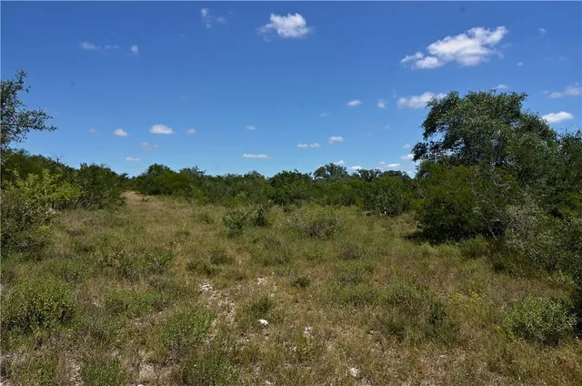 a view of a lake in middle of forest