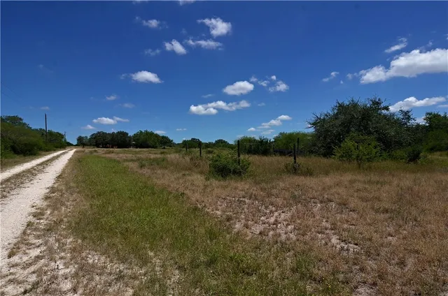 a view of a yard with a tree