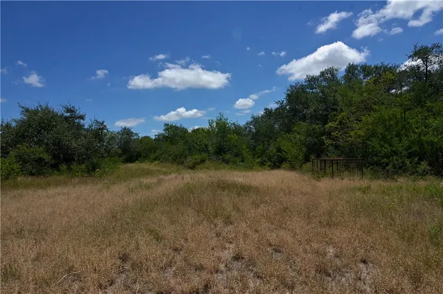a view of a lake in middle of forest