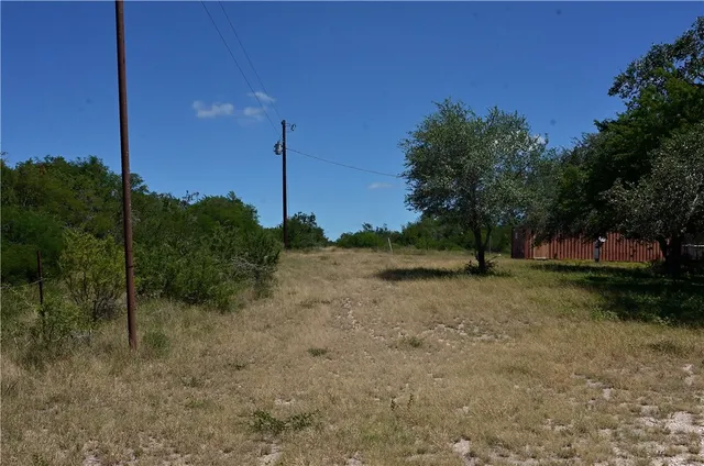 a view of a park with large trees