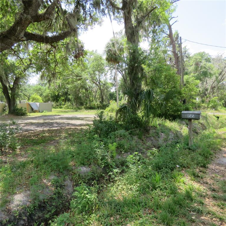8505 Franklin Road Plant City, FL 33565 - Photo 13 of 25 a big yard with lots of green space and plants