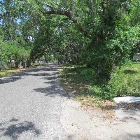 a view of a yard with a trees
