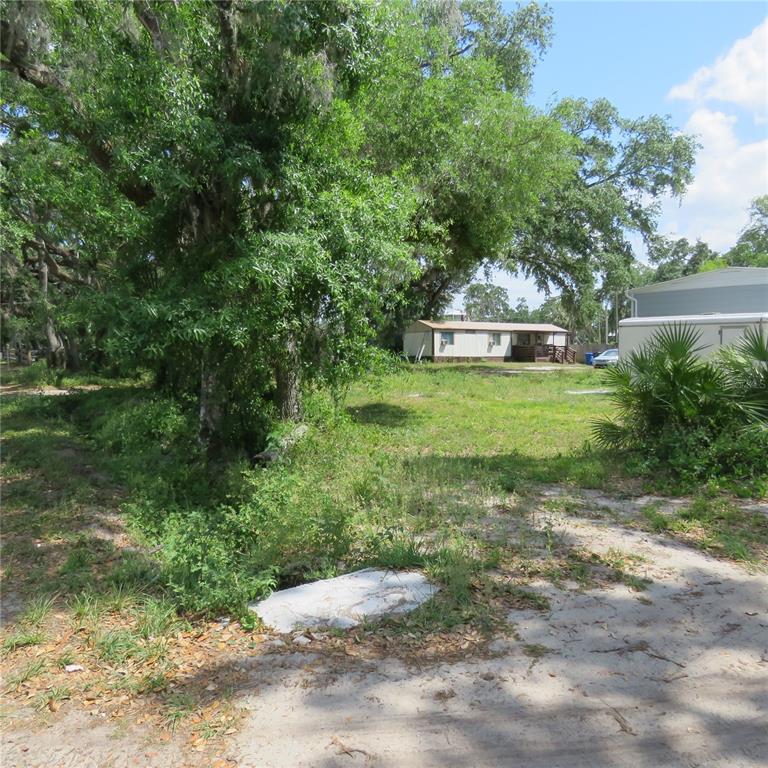 8505 Franklin Road Plant City, FL 33565 - Photo 15 of 25 a backyard of a house with plants and large trees with wooden fence