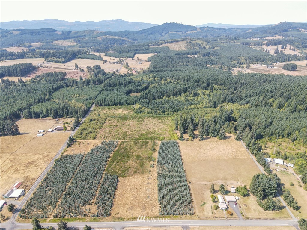 0 Tennessee Road Winlock, WA 98596 - Photo 1 of 8