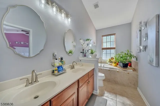 a bathroom with a sink double vanity and a mirror