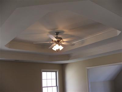 130 Spring Bluff Drive Georgetown, KY 40324 - Photo 23 of 44 double trey ceiling in master bedroom