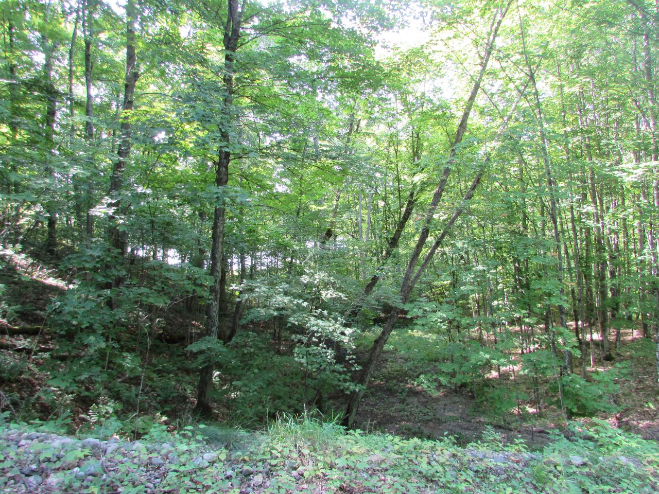 Lot 10 Rustic Road Presque Isle, WI 54557 - Photo 28 of 30 Gallery Image 28