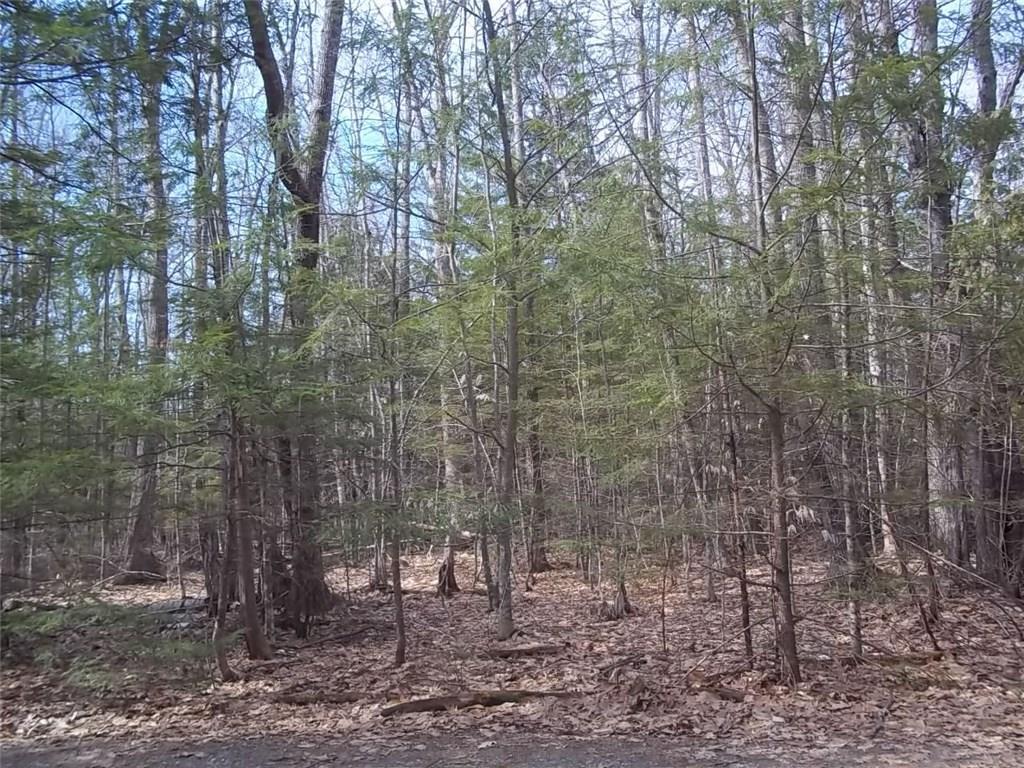 87 West Acre Road Wayne, ME 04284 - Photo 4 of 7 Photo