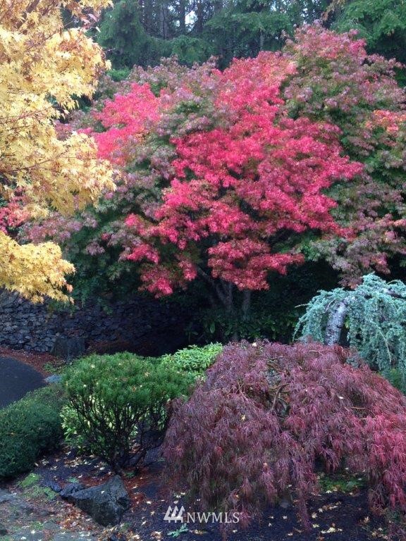 6260 Cape George Road Port Townsend, WA 98368 - Photo 8 of 25 Gallery Image 8