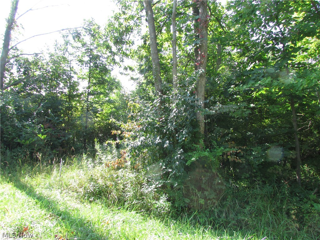 Seeley Road Painesville, OH 44077 - Photo 2 of 4