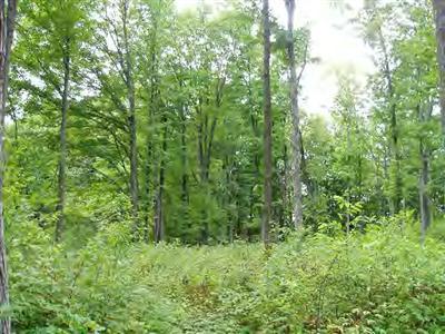 Off Harlan E (road 1) Road Copemish, MI 49625 - Photo 4 of 6 Additional Photo