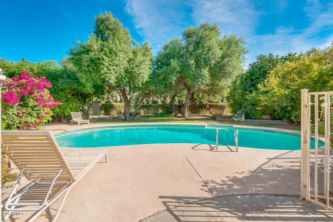 9239 South Terrace Road Tempe, AZ 85284 - Photo 59 of 65 64-Warner