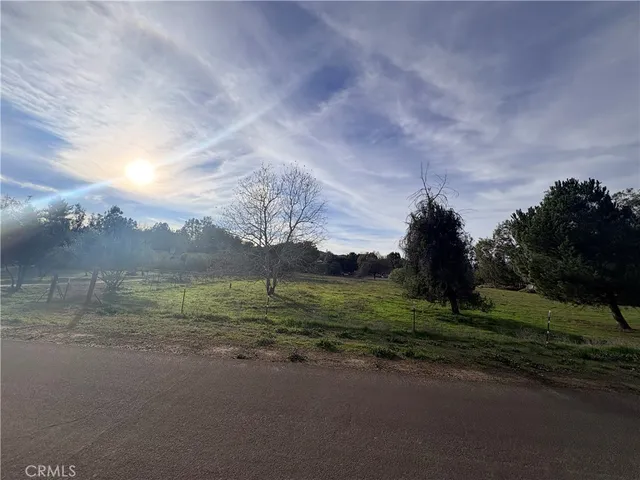 a view of a field with an trees