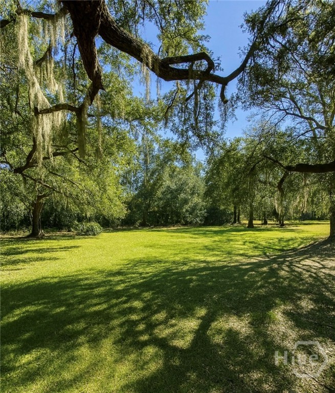 996 Dunlevie Road Allenhurst, GA 31301 - Photo 9 of 9