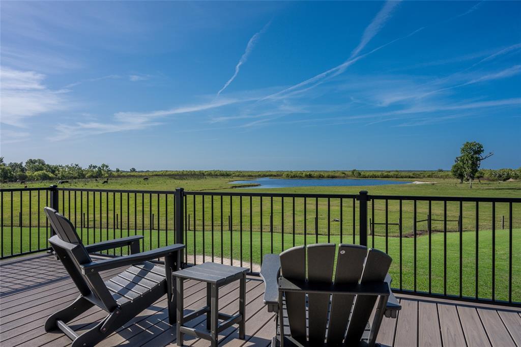 30854 Singletary Road Myakka City, FL 34251 - Photo 58 of 68