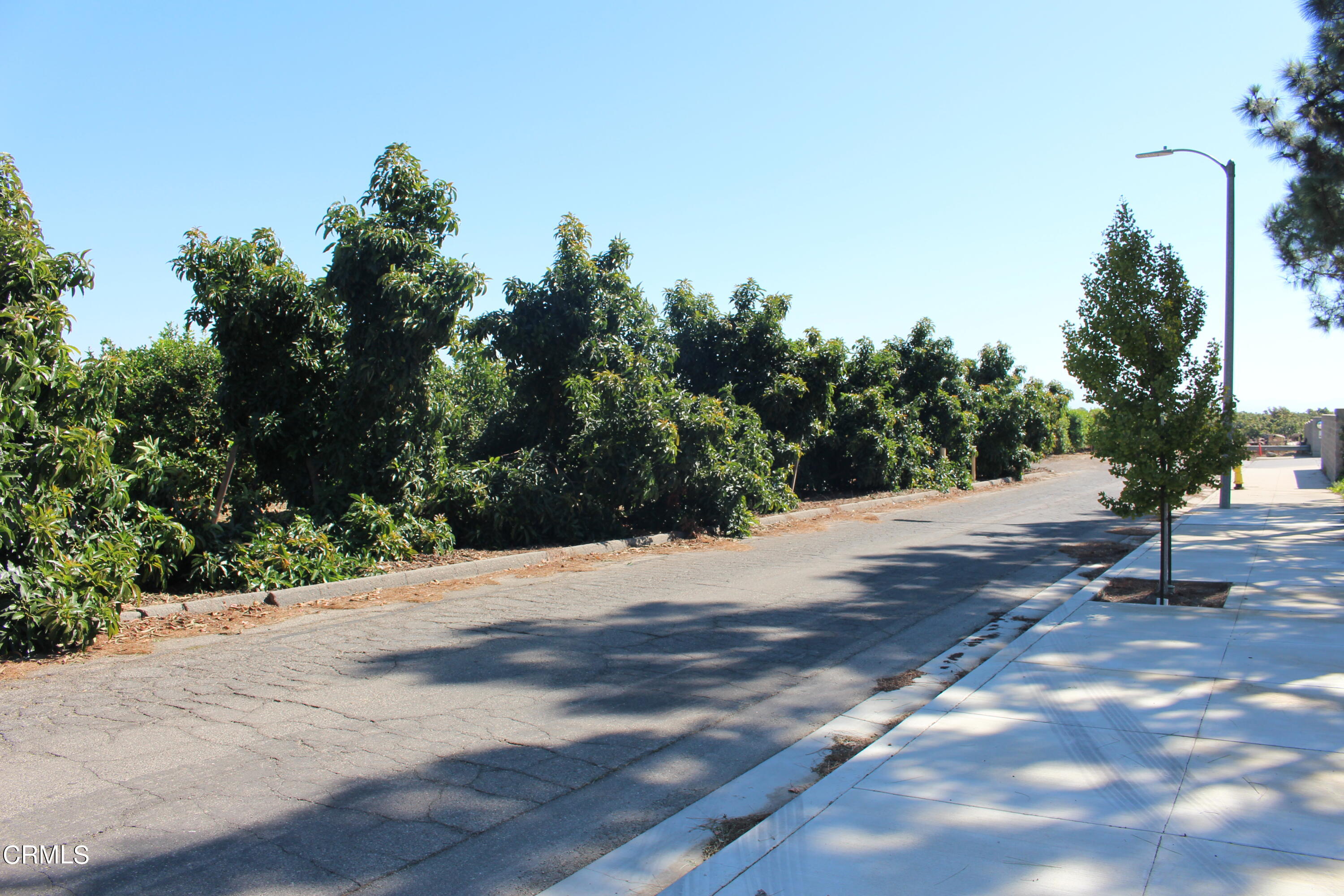 0 Telegraph Road Ventura, CA 93004 - Photo 13 of 19 a wooden bench with view of trees