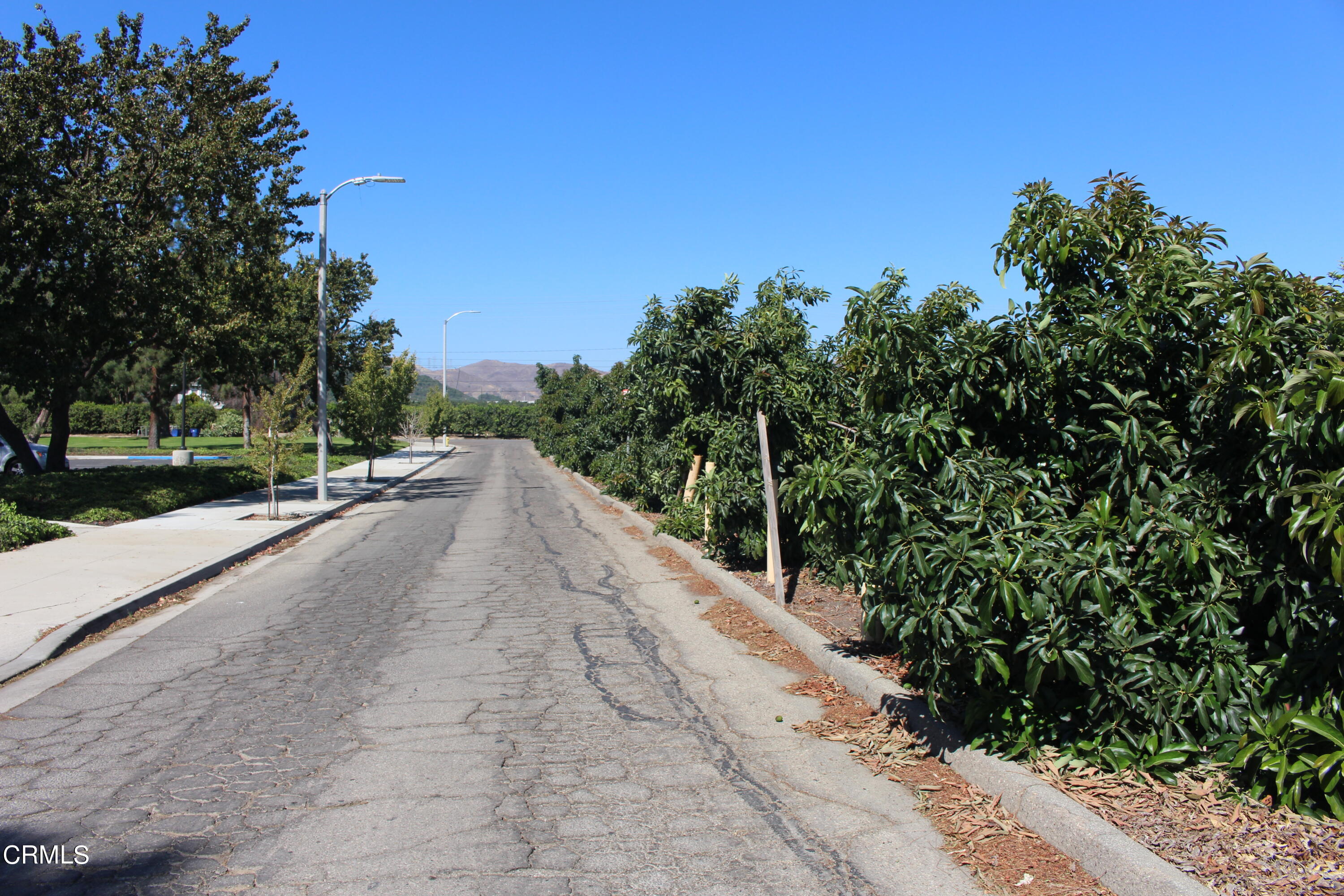 0 Telegraph Road Ventura, CA 93004 - Photo 14 of 19 a view of a road with a yard