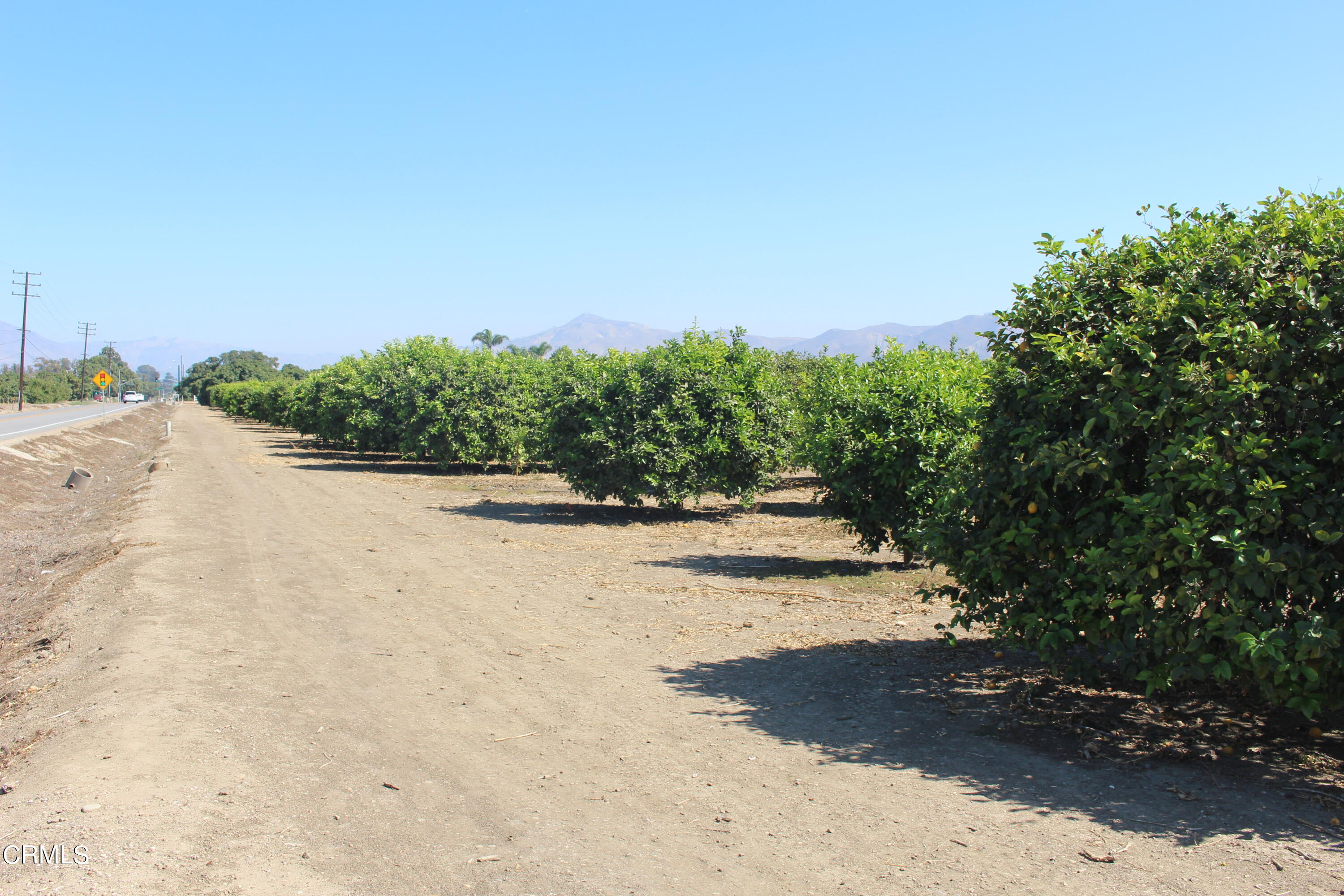 0 Telegraph Road Ventura, CA 93004 - Photo 15 of 19 a view of a road with a yard