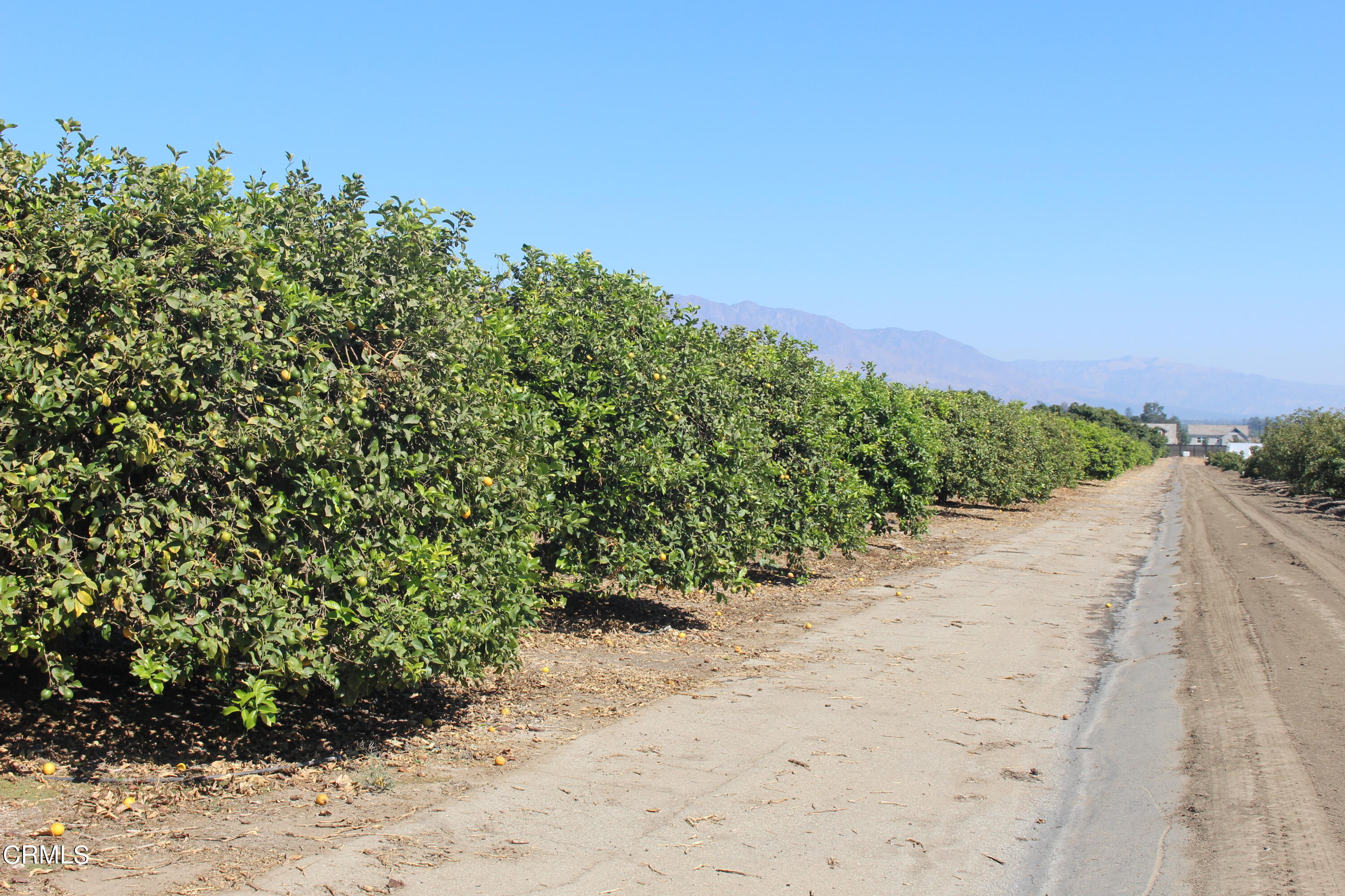 0 Telegraph Road Ventura, CA 93004 - Photo 7 of 19 a view of a road with a yard