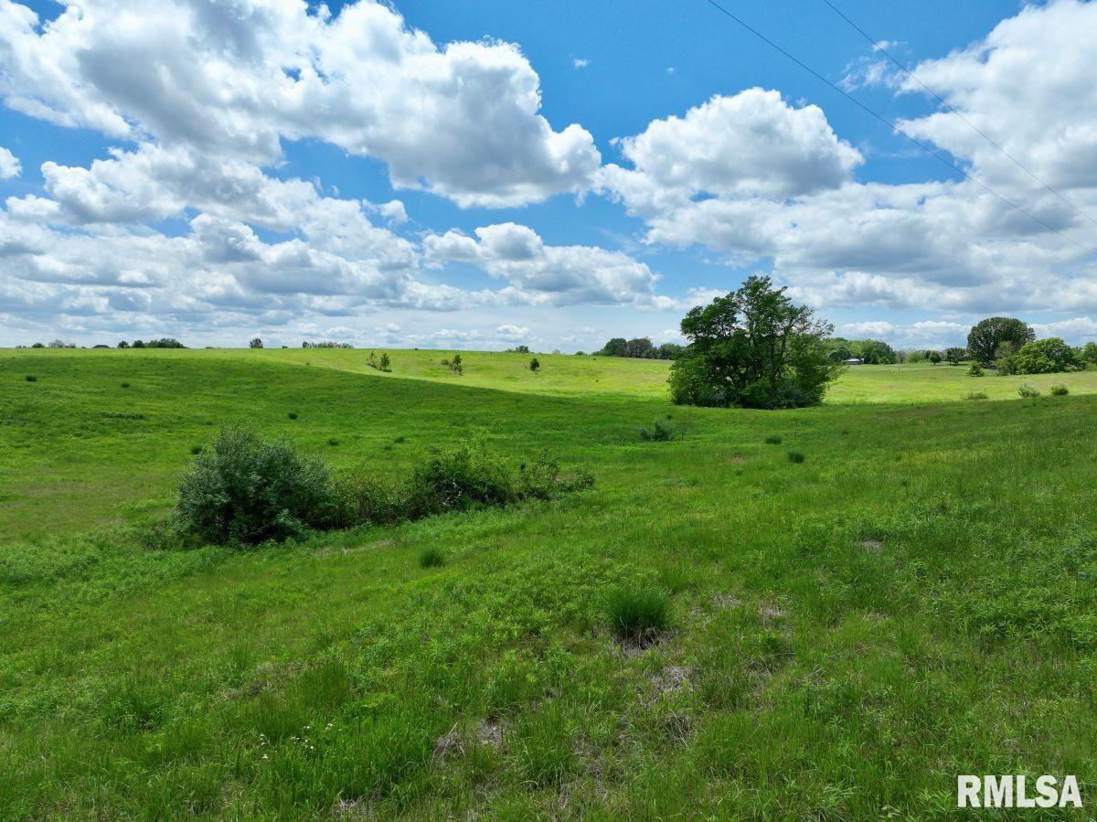 0 Campground Road Anna, IL 62906 - Photo 4 of 29