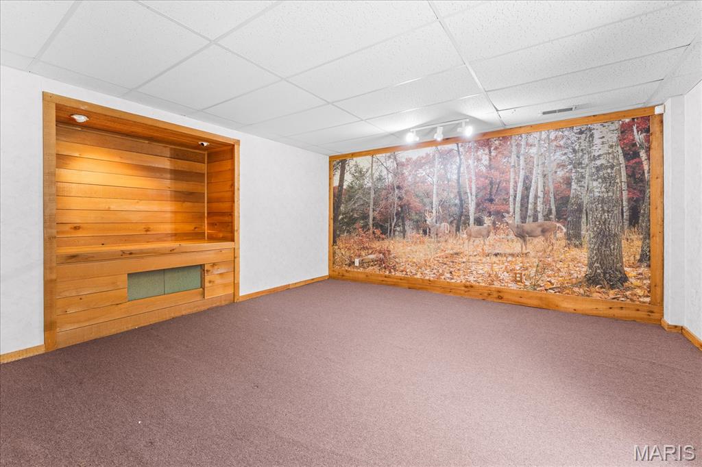 12532 Tree Line Drive Highland, IL 62249 - Photo 44 of 64