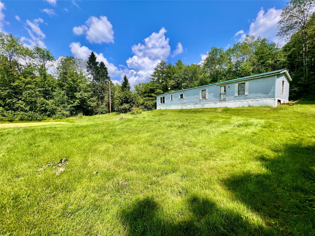 62 Dilly Road Port Crane, NY 13833 - Photo 2 of 5