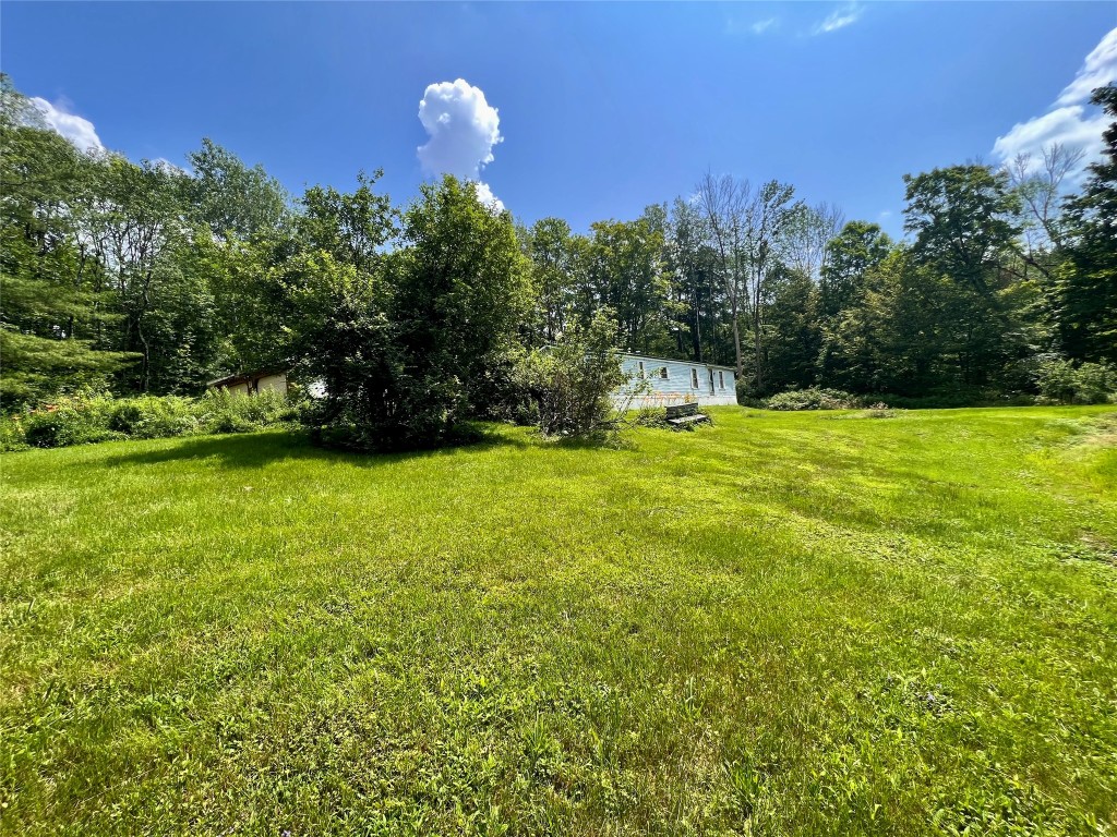 62 Dilly Road Port Crane, NY 13833 - Photo 3 of 5