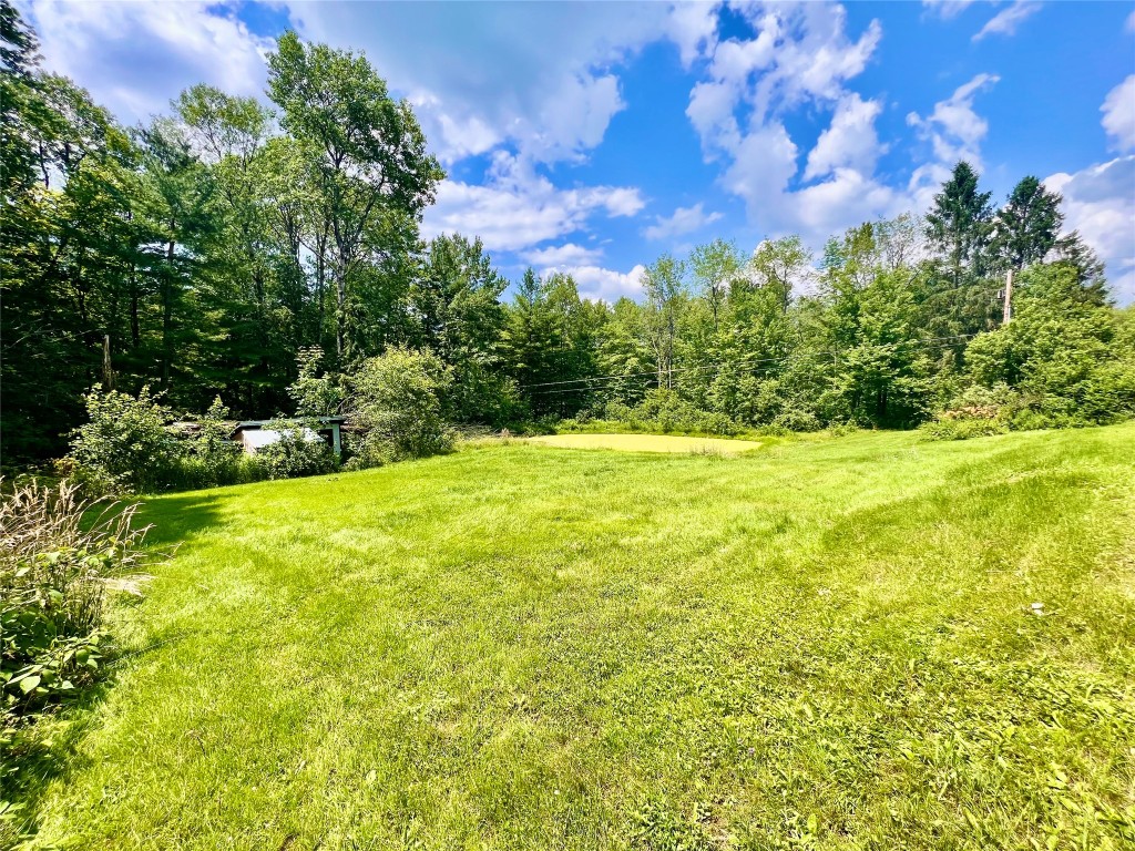 62 Dilly Road Port Crane, NY 13833 - Photo 5 of 5