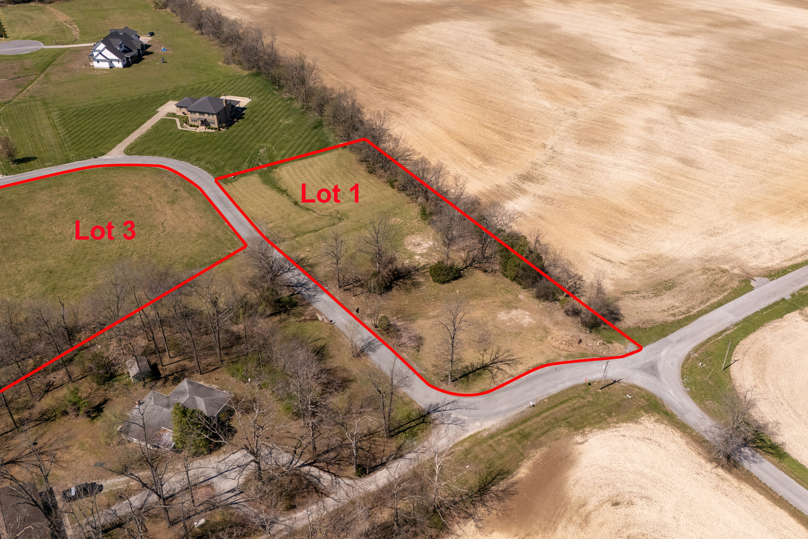 3 Hickory Trail Carbondale, IL 62901 - Photo 2 of 9