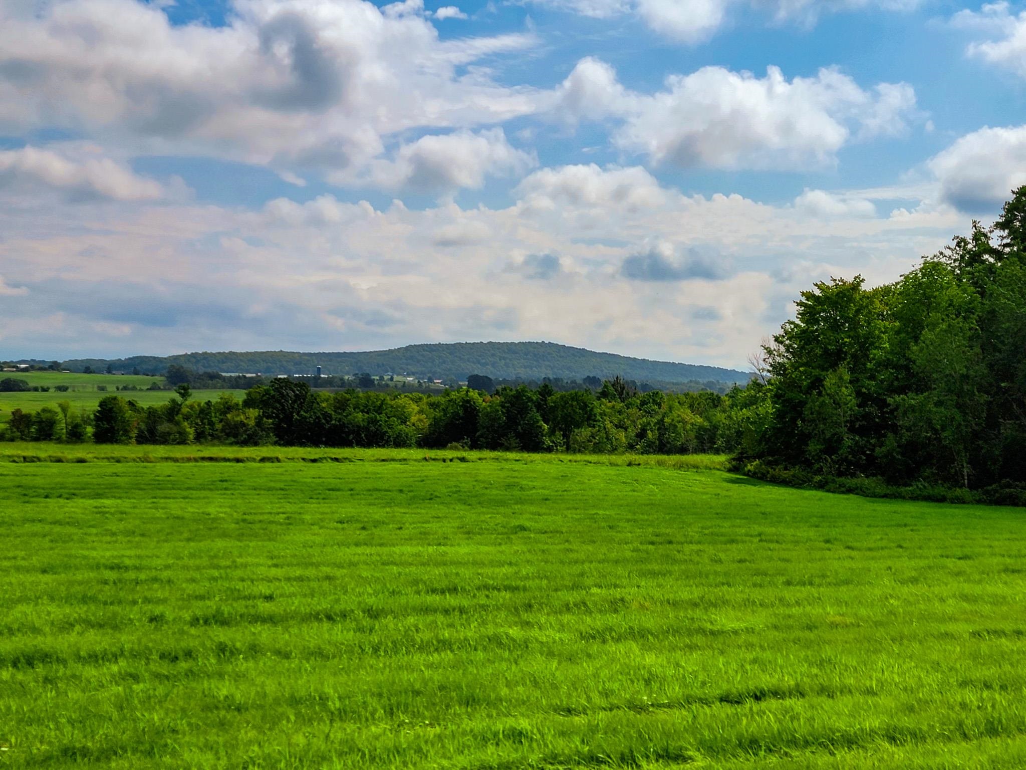 1545 Middle Road, Unit 3 Bridport, VT 05734 - Photo 4 of 40